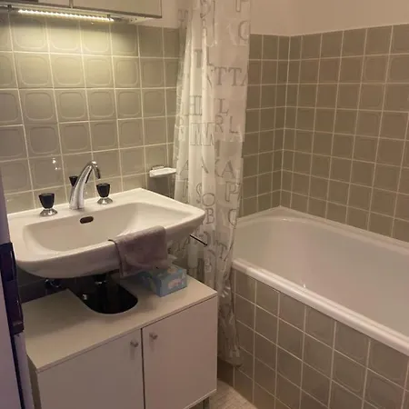 Sunny Swiss Alps Studio By Telecabine Appartement Nendaz