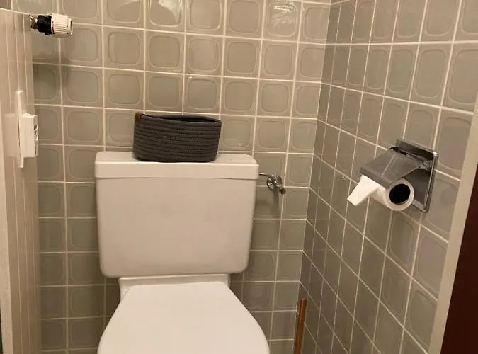 شقة Sunny Swiss Alps Studio By Telecabine نينداز