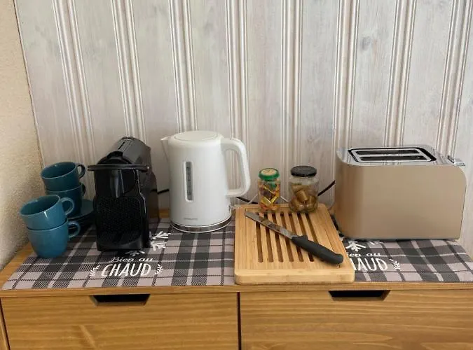 Sunny Swiss Alps Studio By Telecabine نينداز