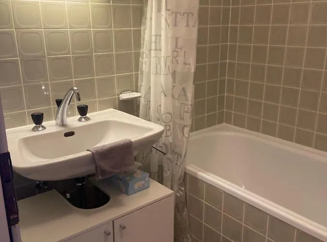 Jolidi S Cozy Studio Centre Appartamento Nendaz